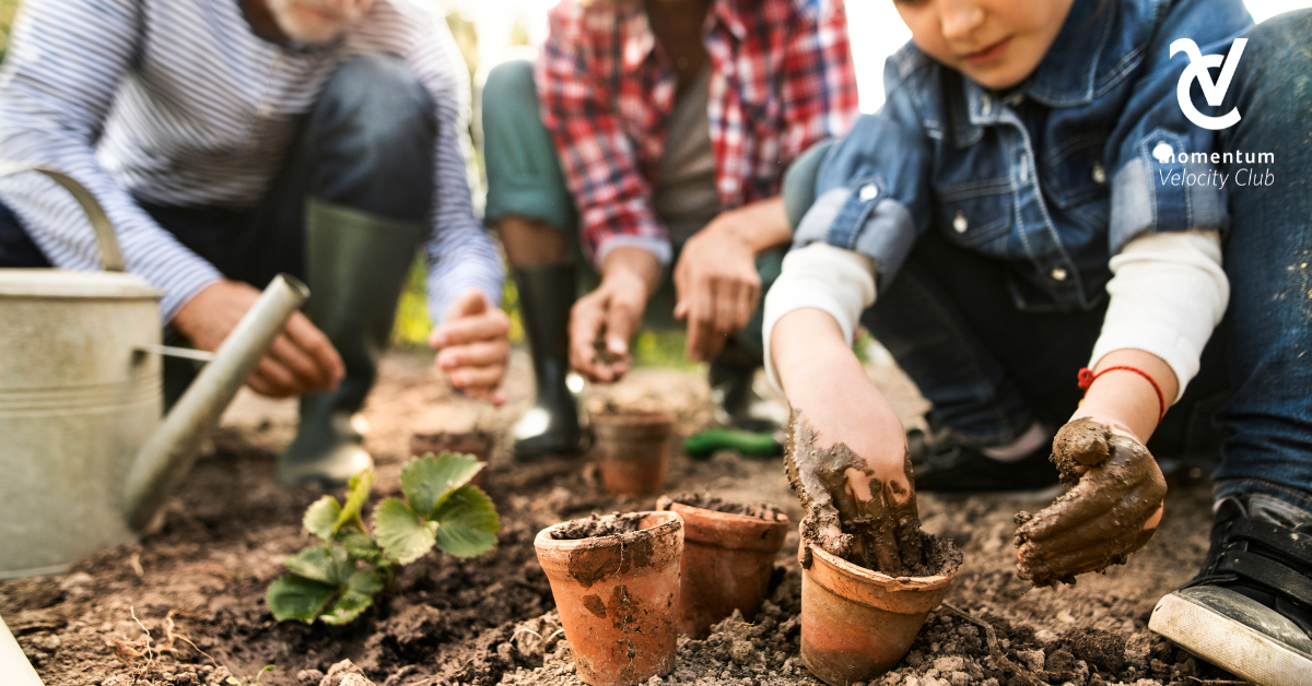 Three young boys are planting seedlings in terracotta pots.