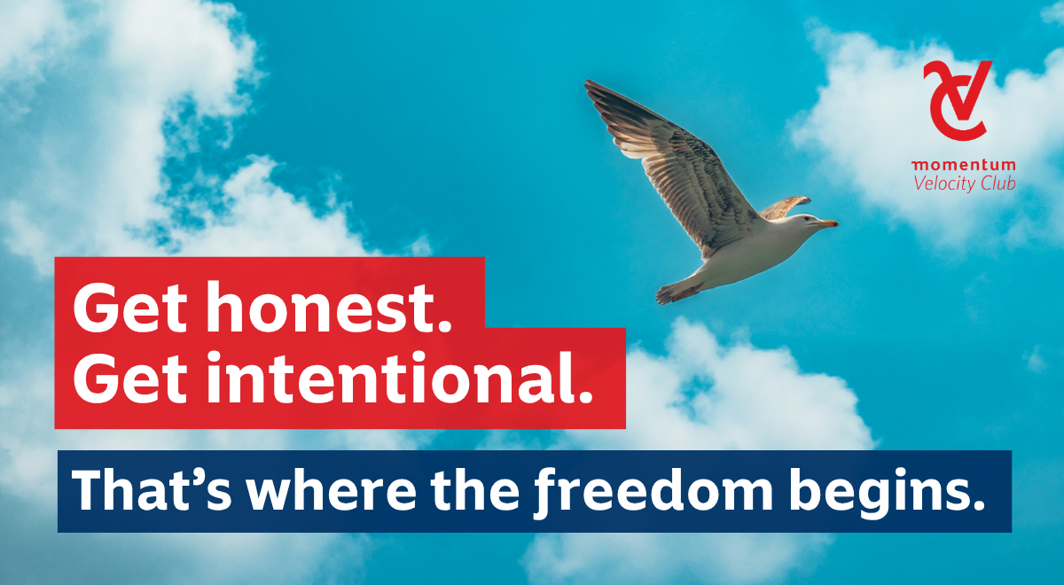 A seagull fly’s in the air, representative of financial freedom.